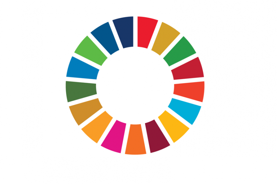 SDG-Wheel